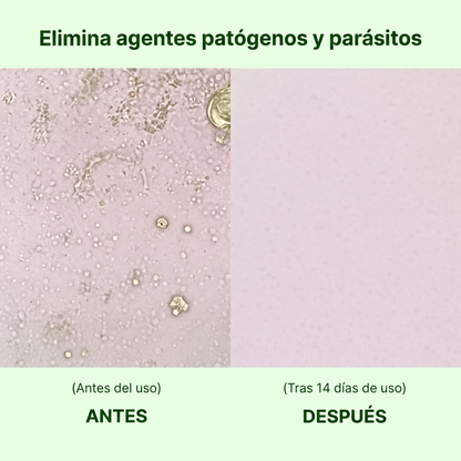 OregaDuo LINFIA