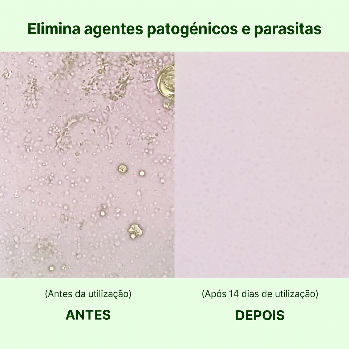 OregaDuo LINFIA